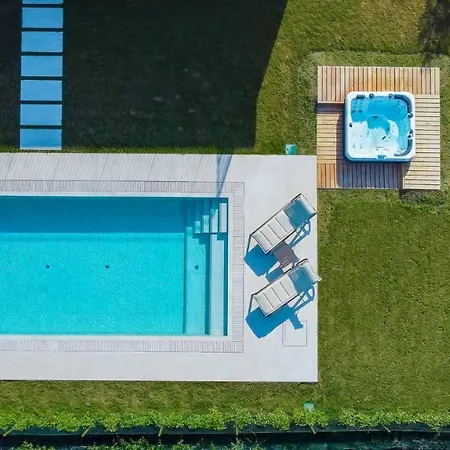 فيلة Ada & Rico لاتيزي